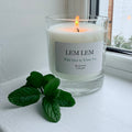 Wild Mint & White Tea