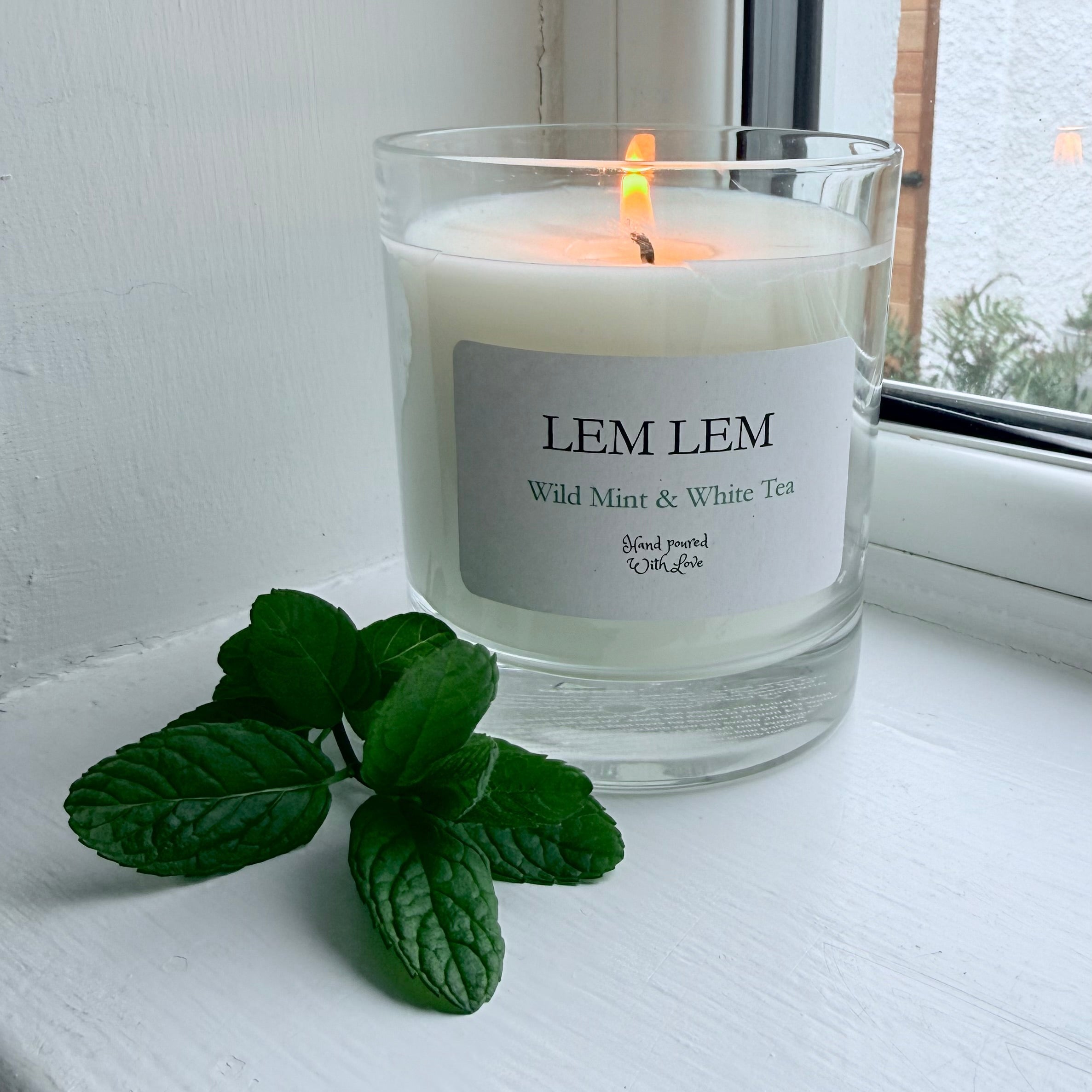 Wild Mint & White Tea